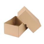 Self Locking Box Carton and Lid A4 305x215x150mm [Pack 10]